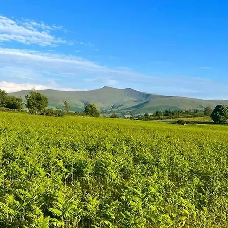 Little Cottage Of The Beacons Brecon Exterior photo