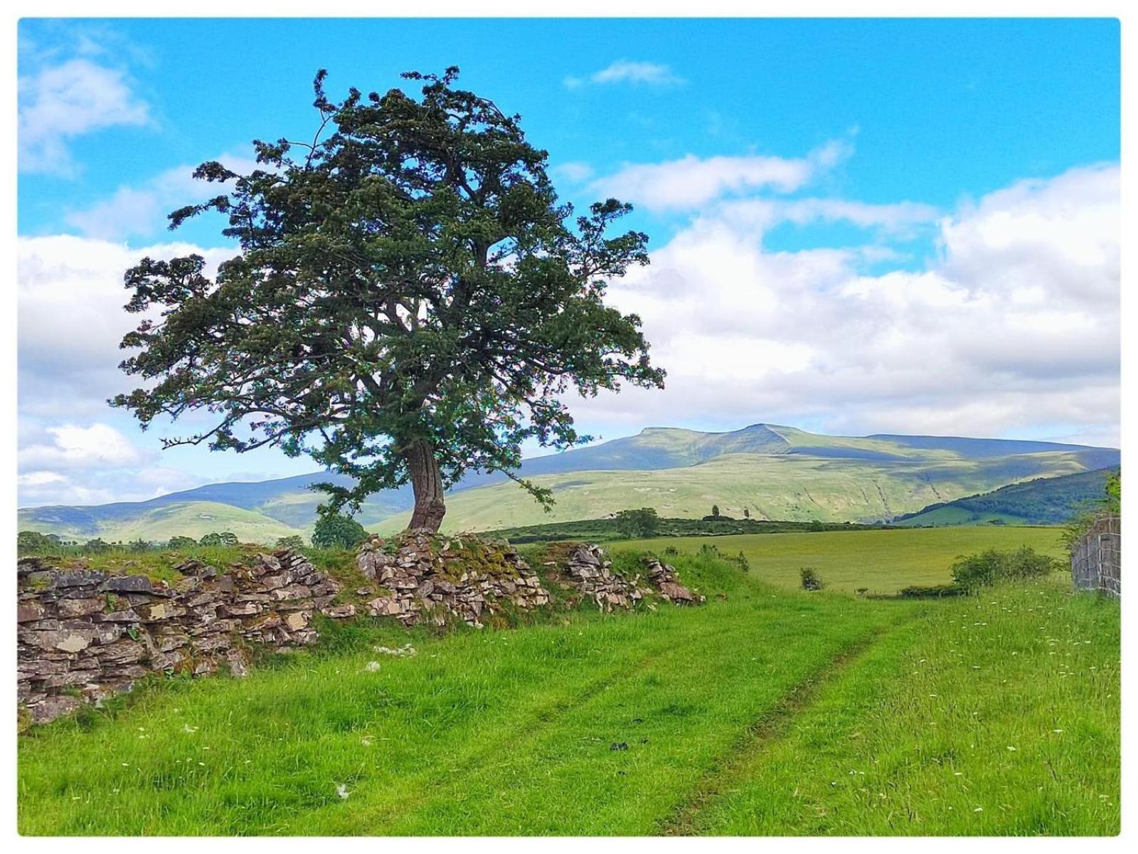 Little Of The Beacons * Brecon